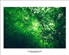 dailyPhoto20
